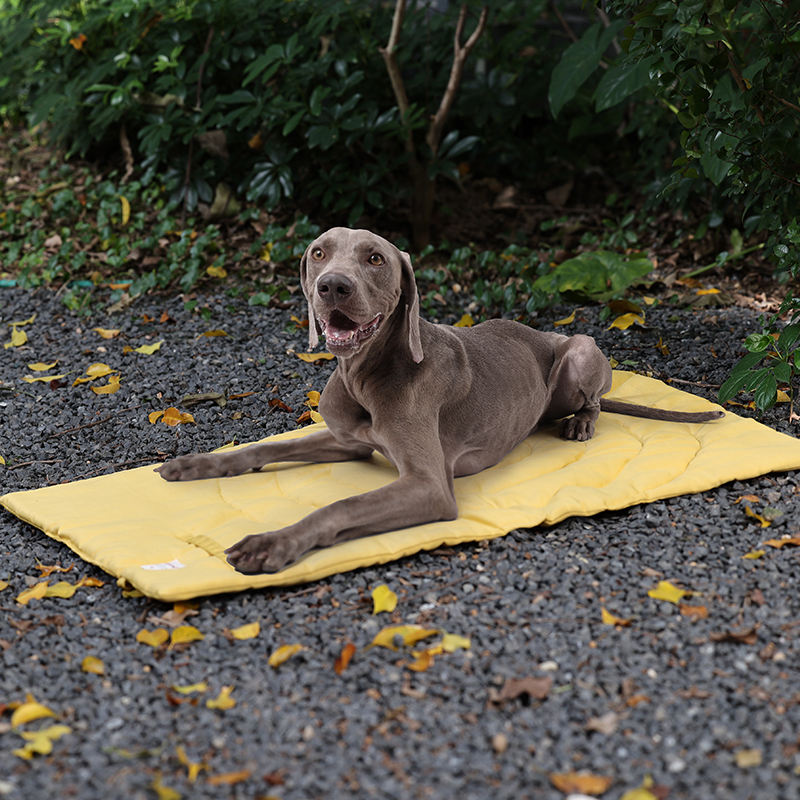 حصيرة الحيوانات الأليفة المحمو - مراجعة Outdoor Camping Rug Waterproof وسعره