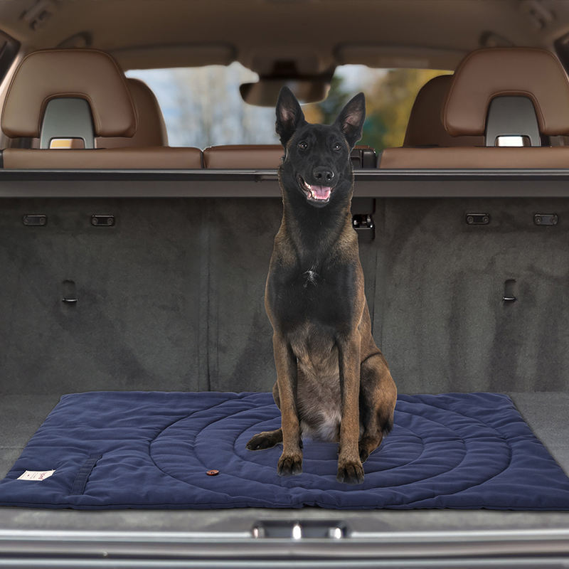 حصيرة الحيوانات الأليفة المحمو - مراجعة Outdoor Camping Rug Waterproof وسعره
